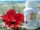 �I�[�X�g�����A�̌��N�H�i�E�E�E ���v���|���X �J�v�Z�� 500mg X 120���� �E�ۗ́E�R�ۗ͂�����A�A�g�s�[���畆���A �R������ʁA���A�a�A�̑��a�A�����d���A �������ǂȂǂɌ��ʂ�����A������a�C �ւ̒�R�͂����邱�Ƃ��ł���ƌ���� �Ă��܂��B