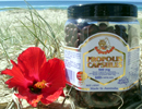 �I�[�X�g�����A�̌��N�H�i�E�E�E ���v���|���X �J�v�Z�� 500mg X 600���� �E�ۗ́E�R�ۗ͂�����A�A�g�s�[���畆���A �R������ʁA���A�a�A�̑��a�A�����d���A �������ǂȂǂɌ��ʂ�����A������a�C �ւ̒�R�͂����邱�Ƃ��ł���ƌ���� �Ă��܂��B