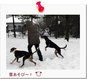☆正木様ご家族と伐沙羅ちゃん&伽羅ちゃん☆